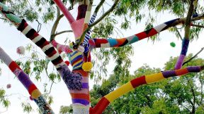 Colourfully painted tree.